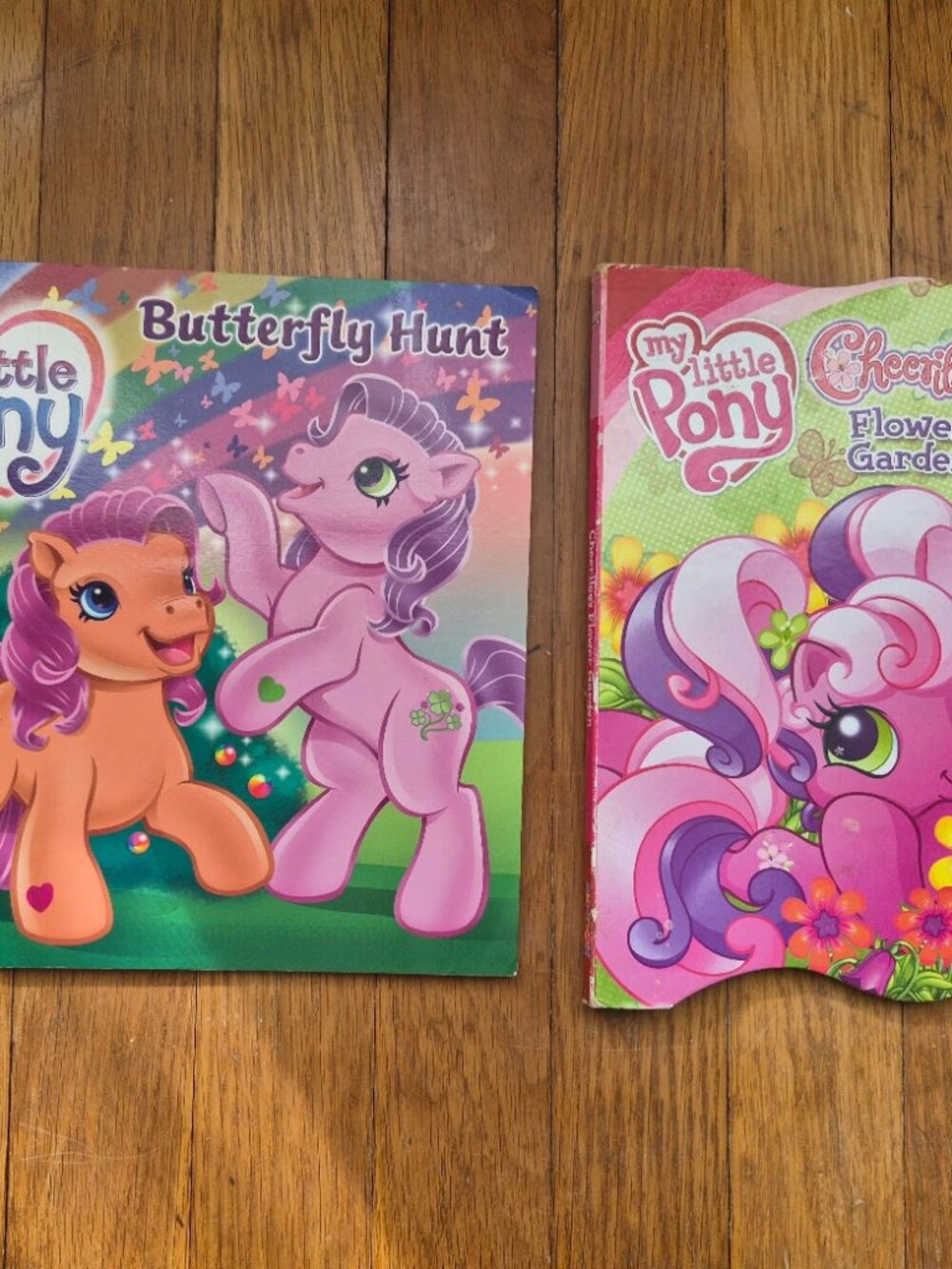 2 My Little Pony Books